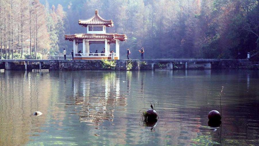 仙湖植物园凭这些“硬实力”拿下了中国最佳植物园的称号