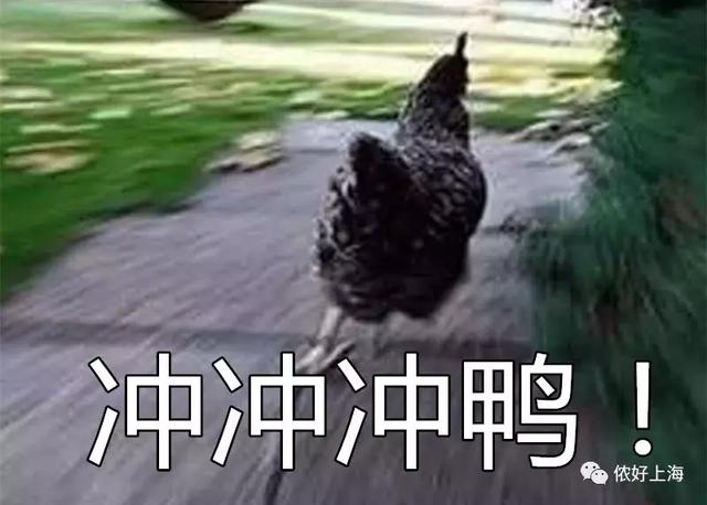 此刻的你肯定很忙！来看看双11付尾款时的你，简直太形象了……
