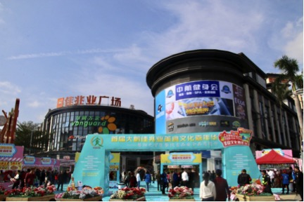 首届大鹏佳兆业美食文化嘉年华点亮假日