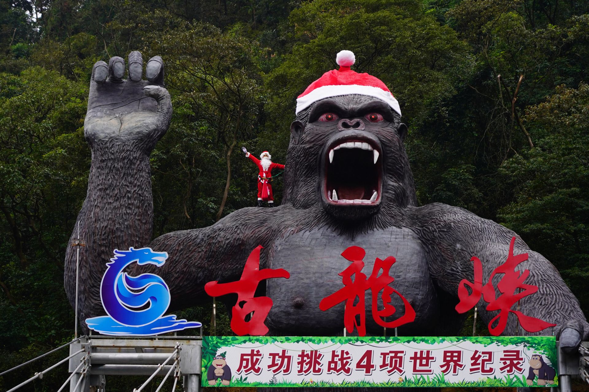 游客扮“圣诞老人”挑战极限，体验垂直高差世界第一的丛林探险