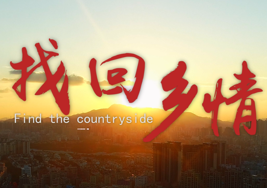 微视频一等奖｜坂田街道《找回乡情》