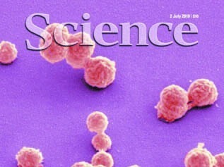 美《科学》杂志评选出2018年十大科学突破