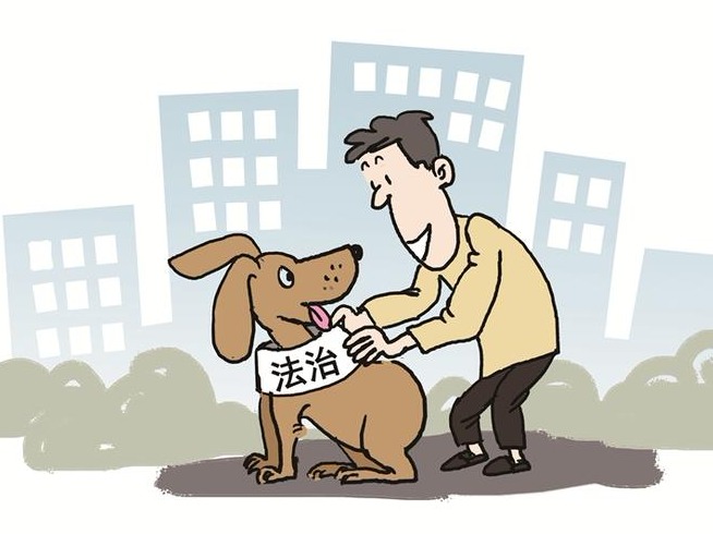 龙华区多举措营造文明养犬风尚
