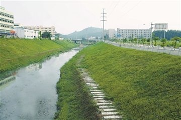 光明区9条黑臭水体综合治理主体工程已完成