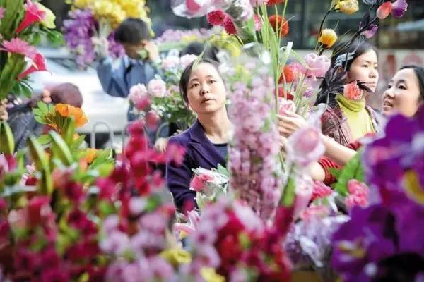 想在花市有个小档口？最低3000元！深圳迎春花市等您进场