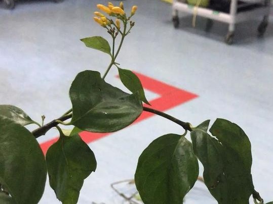 咋回事？男子网购
