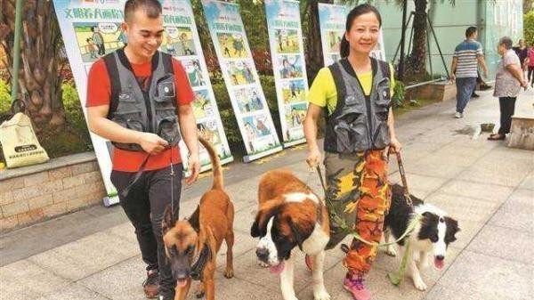 深圳拟将办犬证、寻犬、领养等业务接入统一平台