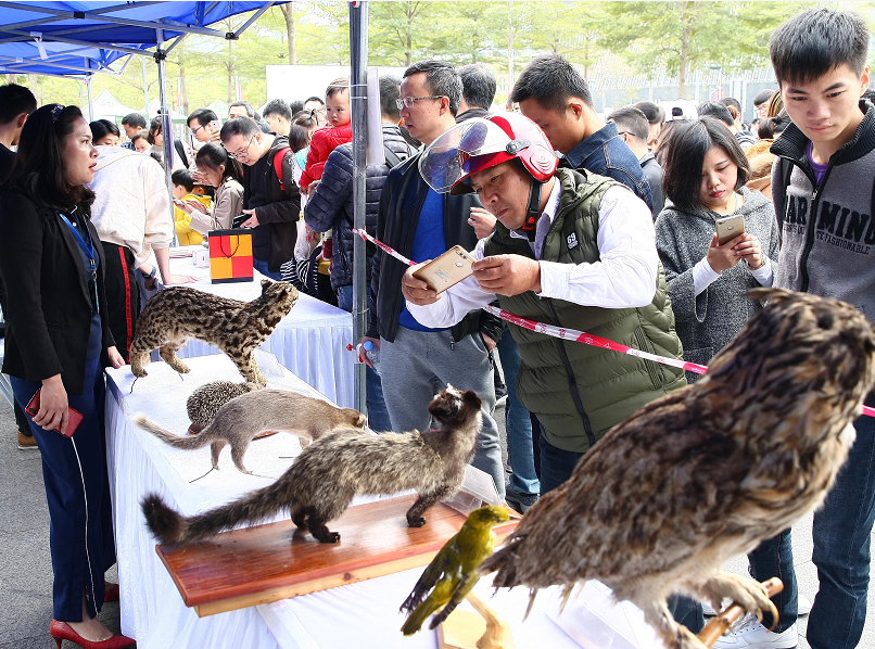 今年市城管局已查处售卖“黑煤气”1700余宗,收回34公顷林地