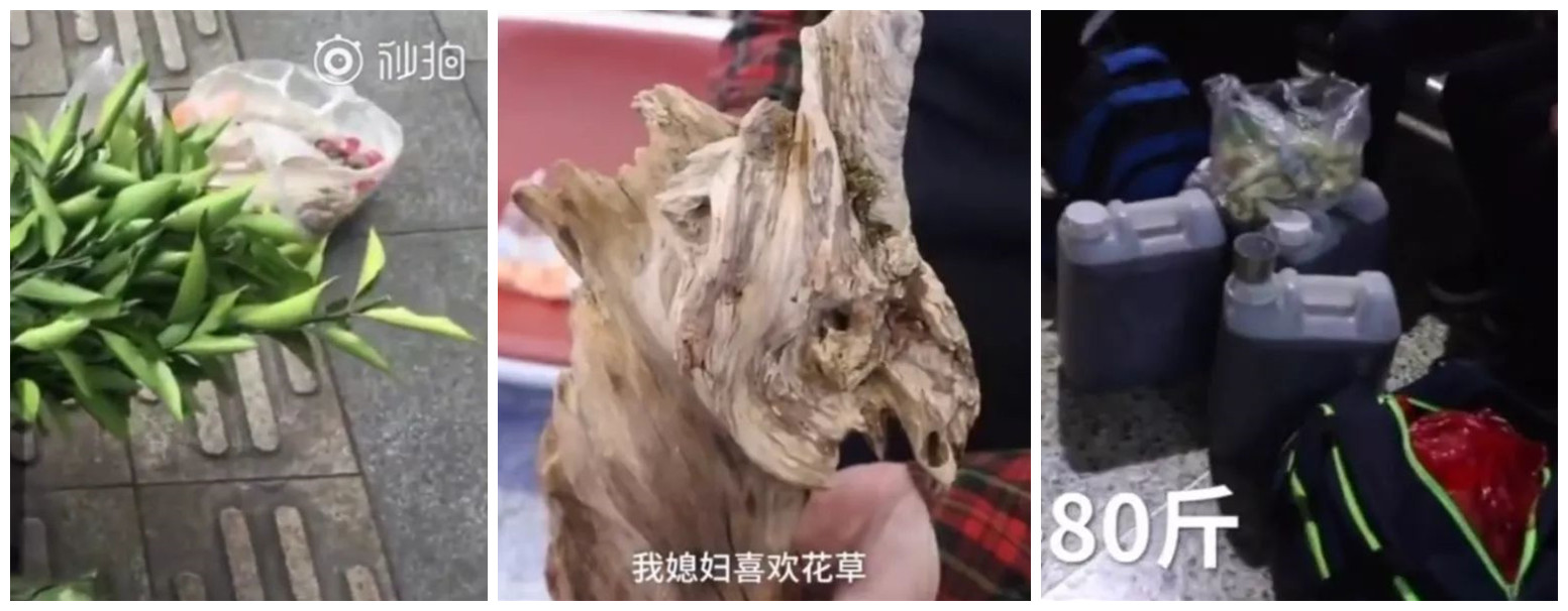 香油、粉条、鱼腥草...这些春运路上的包裹太催泪！