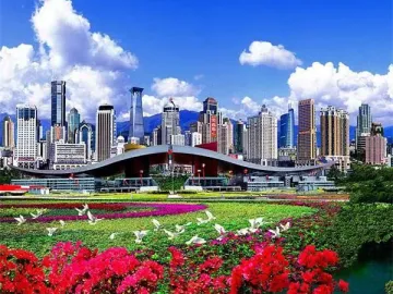 深圳：携手周边城市共建大湾区核心引擎