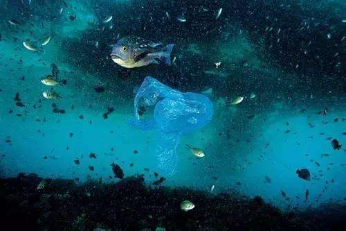 深圳经济特区海域污染防治条例