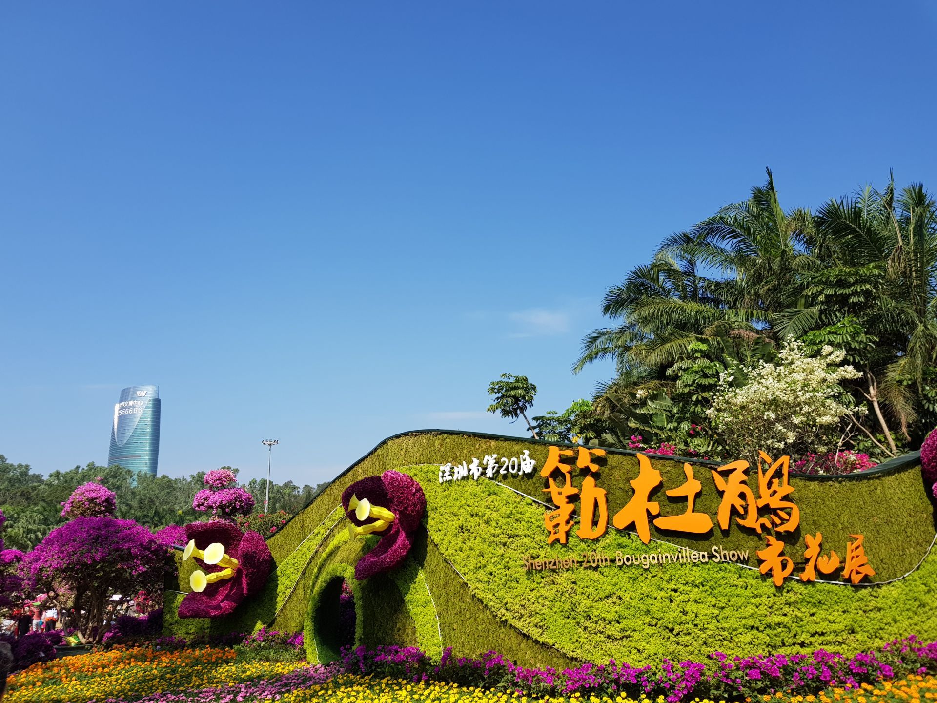 深圳排名第六！2018年重点城市空气质量榜单发布