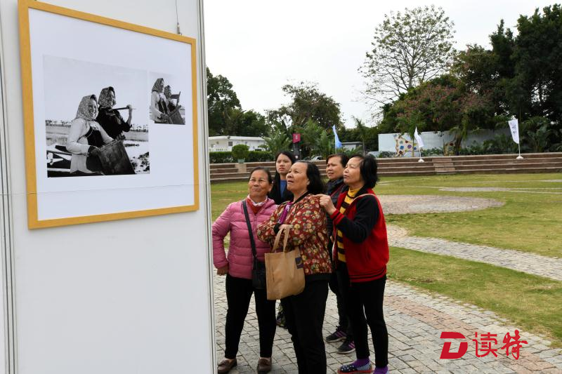 不畏寒潮！福海乐龄人生图片展暖心开展