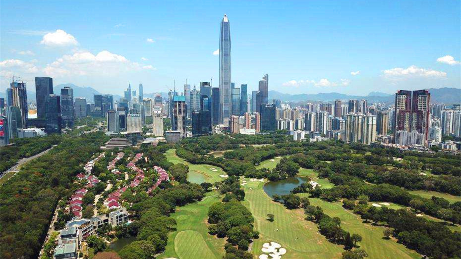 今天，深圳“11+1”区负责人在特区报悉数亮相，谈了同一件大事