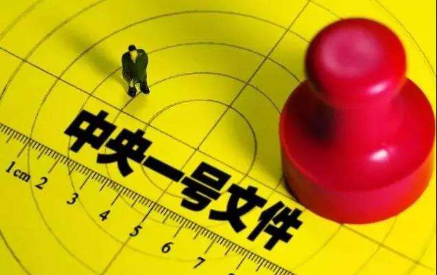 重磅！2019年中央一号文件全文来了