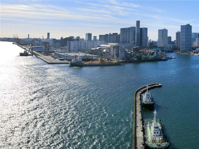 广东扎扎实实推进粤港澳大湾区建设