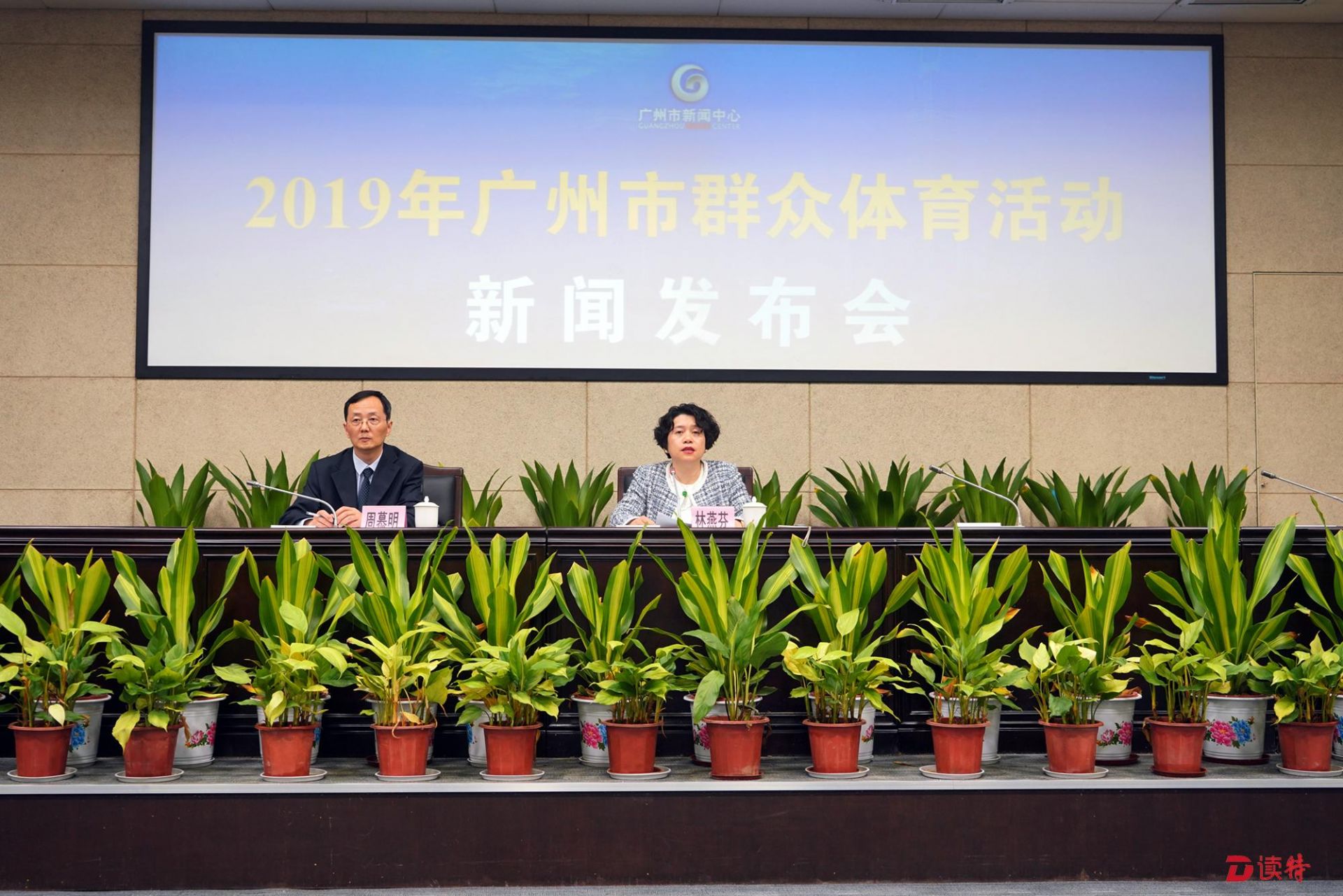 约走！粤港澳大湾区11城市48公里徒步大会将举办