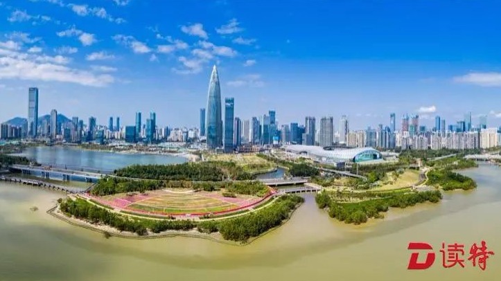己亥新春系列评论⑧｜实干为要
