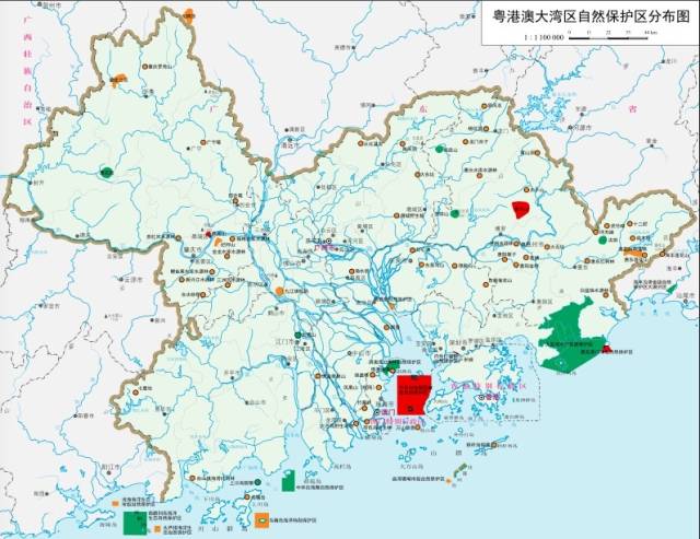 60秒快评广东经济：粤港澳大湾区是如何 “长大”的？看图说话