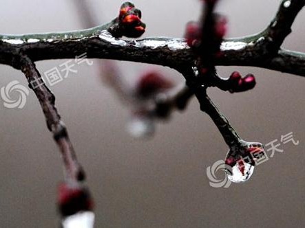 华北等地迎大范围降雪 南方阴雨连绵