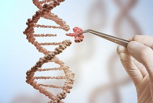 卫健委征求意见稿：基因编辑技术由国务院卫生主管部门审批