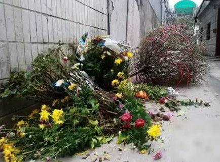 年花年桔也要分类处理！深圳市民可免费预约上门回收
