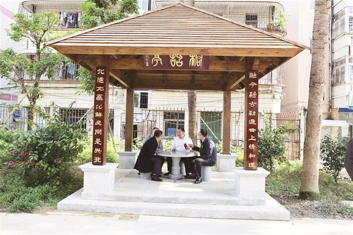 葵涌高位推进司法所“大榕树计划”，多举措打造东部法律服务高地