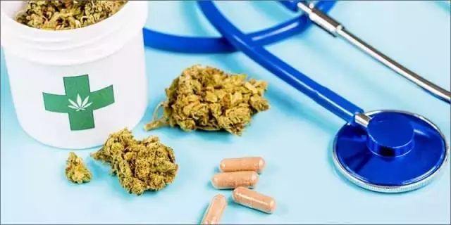 关于“工业大麻”，你需要知道的这些！