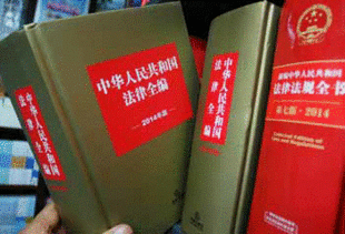 马光瑜委员：构建大湾区区际法律制度体系