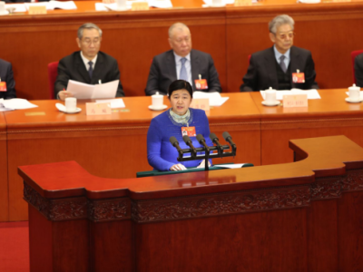 陈双委员：民营企业要在新时代再立新功