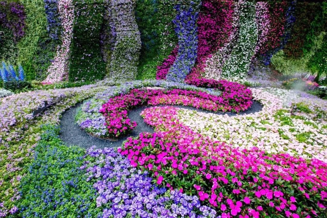 国际范花展来了，听说坪山展区有七彩瀑布！