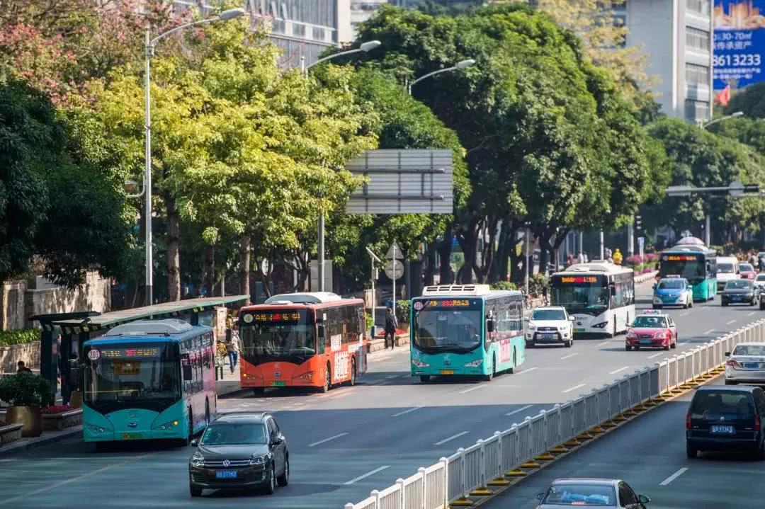 注意！17日起深圳将调整这26条公交线路途经道路及停靠站点
