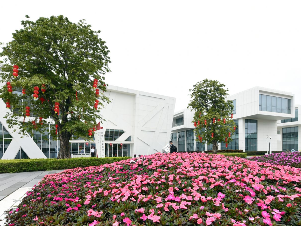 《关于支持港澳青年在前海发展的若干措施》本月起实施