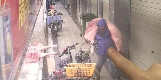 借“猪”发财，没想到“猪”事不顺，骗点肉就被抓起来了？！