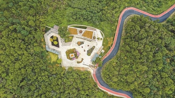 道在绿间 人在画中 深圳绿道洋溢浓浓生态关怀