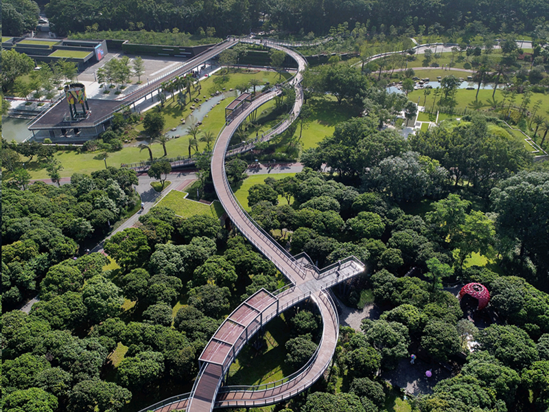 出门见绿500米见园！深圳今年建成“千园之城”