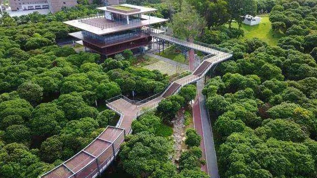 识圳｜市政府常务会议：坚持以人为本推进城市更新