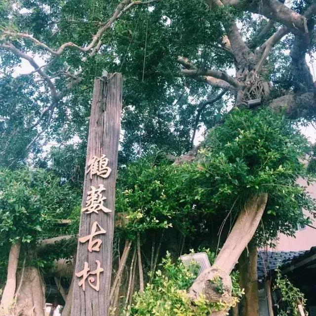 享受慢时光！深圳西涌鹤薮被遗忘的文艺古村落
