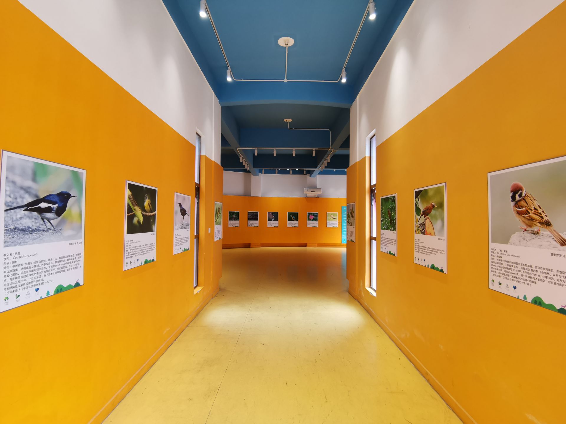 花展画展齐迎佳节！五一期间深圳各公园为市民带来不同体验