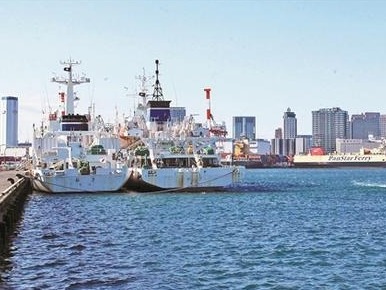 行走大湾区 | 东京湾区：为产业流通提供无限可能