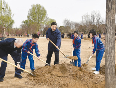 习近平连续七年参加植树，这些细节你注意到了么？  