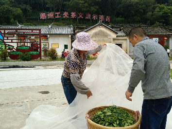 潮州海关精准施策助力潮州茶叶出口 2018年量值增幅均超10倍