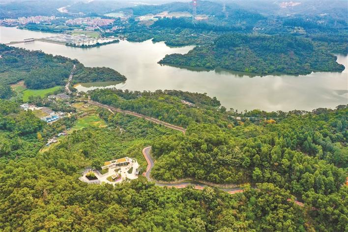 羅湖區深圳水庫旁的淘金山綠道風景優美.