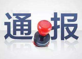 严肃问责形式主义官僚主义！大鹏新区通报5起典型问题