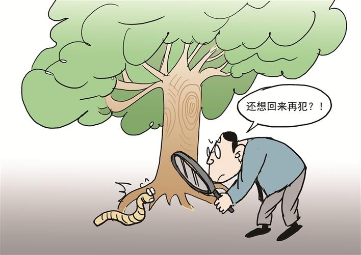 被处分后会有一段“平安期”？ 荒唐，再犯要从重或加重处分！