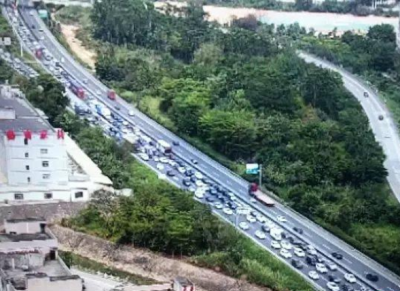 清明假期深圳出行车辆超446万辆，两天抓了31只“醉猫”