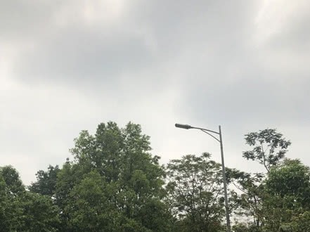今明广东有中到大雨局部暴雨 清明假期多雷雨
