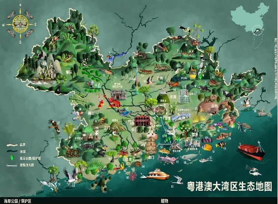 这张“湾区绿图”，看见不一样的粤港澳大湾区