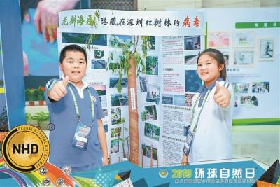 2019年“环球自然日”深圳赛区决赛在深圳博物馆举行