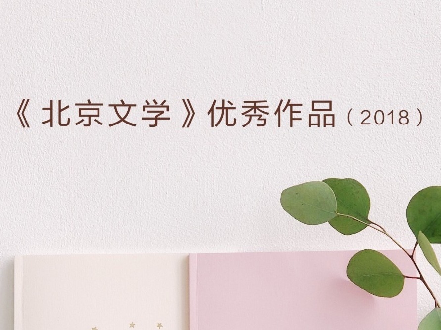 深圳作家南翔吴君上榜！《北京文学》评出2018年40部佳作